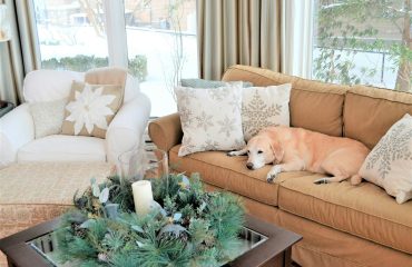 Home interior design family room with dog sleeping on couch